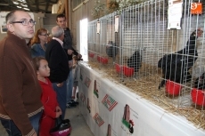 Actividades relacionadas con la caza, y la muestra aviar complementan la Feria Agroalimentaria