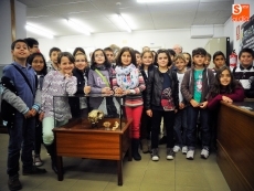 La Facultad de Ciencias retoma las visitas de escolares a la Sala de las Tortugas