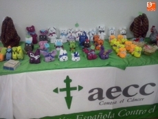 Foto 4 - Solidaridad con los enfermos y familiares de cáncer