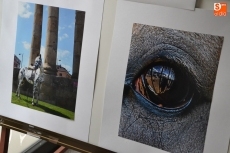 Foto 5 - Sonia Lerones gana el XII Concurso de Fotografía de la Feria del Caballo