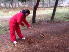 Foto 5 - Día de senderismo para los alumnos del IES Tierra que están en Umbralejo