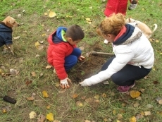 Foto 4 - Los voluntarios medioambientales repueblan la Isla del Soto con nuevas especies