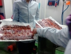 Foto 5 - 'En tu pueblo y en el mío' descubre los secretos del centro del Camino de la Vía de la Plata