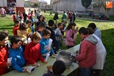 Foto 3 - Al rico sabor de la castaña asada en el Colegio San Francisco
