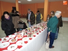 Foto 5 - Más de 140 especies de setas y hongos se exponen en 'La Panera'