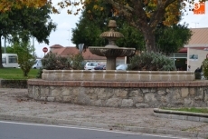 Foto 3 - 1Foto: Los nuevos ángulos tras el adiós al Árbol Gordo