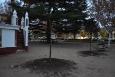 Foto 4 - 1Foto: Confiemos en que duren más