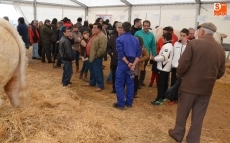 Foto 5 - La versi&oacute;n extendida de San Andr&eacute;s completa la &ldquo;transici&oacute;n&rdquo; de las Ferias Ganaderas