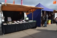 Foto 3 - La versi&oacute;n extendida de San Andr&eacute;s completa la &ldquo;transici&oacute;n&rdquo; de las Ferias Ganaderas