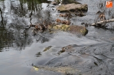 Sin pasarela y sin pontones