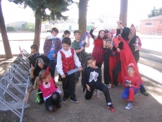 Foto 6 - Un otoño escolar repleto de actividades sociales y culturales