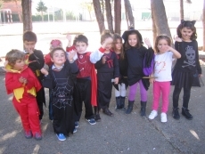 Foto 5 - Un otoño escolar repleto de actividades sociales y culturales