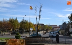 Foto 6 - Una bandera de España gigante, nueva compañera del ‘Árbol Flaco’