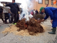 Foto 4 - En torno a 450 personas se dan cita en la VIII Matanza Tradicional