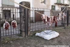 Foto 3 - La matanza tradicional coge impulso 