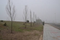 Foto 4 - En construcción un camino de acceso para peatones a los Campos de Toñete