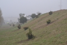 Foto 3 - En construcción un camino de acceso para peatones a los Campos de Toñete