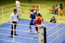 Foto 3 - Guijuelo continúa apostando por el deporte con el Campeonato de Boxeo de Castilla y León