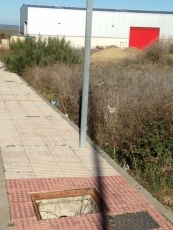 Foto 4 - UPyD urge al Ayuntamiento a acelerar las obras de remodelación del polígono industrial 