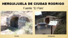 Foto 5 - El proyecto Frontera Natural recupera 24 espacios naturales en el oeste de la provincia