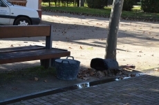 Foto 4 - El Ayuntamiento sustituye las papeleras del paseo central de La Glorieta