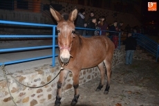 Foto 5 - Los niños, grandes protagonistas de los belenes del Barrio Nuevo y el Valle de San Martín