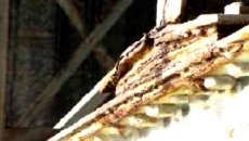 Foto 3 - El puente Enrique Estevan tenía pérdidas de acero estructural y deformaciones por corrosión