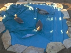 Foto 4 - Los vecinos dan vida a un belén en la tarde de Nochebuena