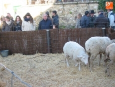 Foto 6 - Los candelarienses montan su particular bel&eacute;n viviente en la plaza del Humilladero