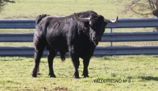 Foto 6 - Así será el Carnaval 2015 en materia taurina