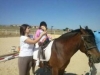 Foto 1 - El caballo como terapia y terapeuta