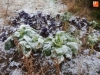 Foto 2 - La nieve se asoma con timidez en la comarca a primera hora de la mañana