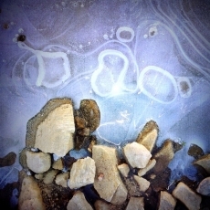 Foto 6 - Radiografía del frío en el primer día del año