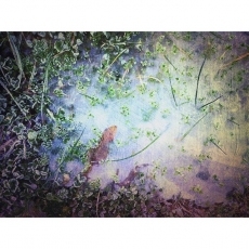 Foto 5 - Radiografía del frío en el primer día del año