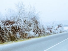 Foto 6 - La provincia de Salamanca amanece cubierta de cencellada