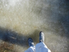 Foto 4 - La provincia de Salamanca amanece cubierta de cencellada