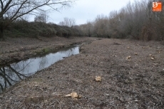 Foto 6 - El Regato Bodón, objeto de una profunda limpieza