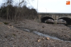 Foto 5 - El Regato Bodón, objeto de una profunda limpieza