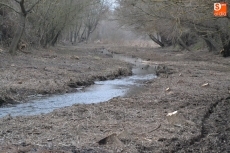 Foto 4 - El Regato Bodón, objeto de una profunda limpieza