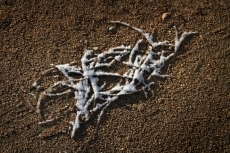 Foto 4 - La primera nevada de Salamanca