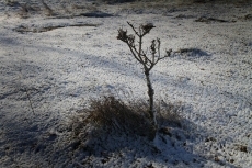 Foto 3 - La primera nevada de Salamanca