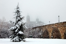 Foto 6 - Estampas de nevadas en Salamanca
