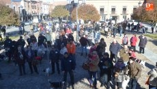 Foto 5 - Mascotas y dueños celebran la recuperada tradición de San Antón