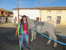 Foto 5 - Los Quintos corren las cintas entre familiares y amigos
