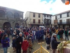 Foto 3 - La fiesta de San Antón recauda más de 2.800 euros con la subasta y el sorteo del cebón