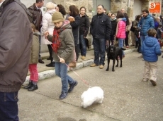 Foto 3 - La bendición de los animales en el día de San Antón, una fiesta popular y tradicional