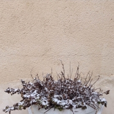 Foto 4 - Invierno en Morille