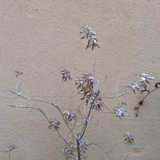 Foto 3 - Invierno en Morille