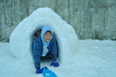 Foto 3 - La Alberca se cubre de blanco