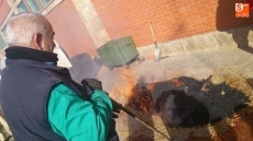 Foto 4 - Los vecinos de Doñinos de Salamanca rememoran la tradición de la matanza 